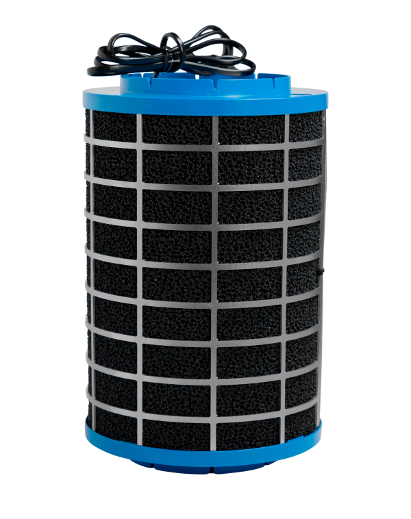 DSC04114-Enhanced-NRpbs-825-18_0022_DSC04114-Enhanced-NRpbs-825-18